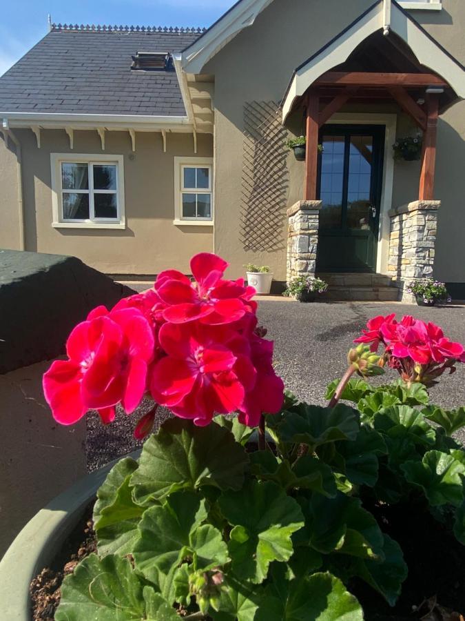 The Lodge Donegal Town Extérieur photo
